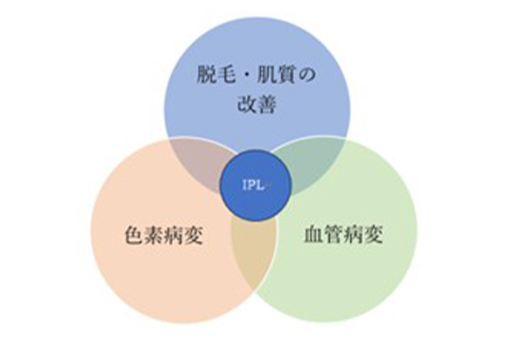 こんな方におすすめです